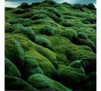 Knutsson, Jonas - Malgomaj