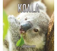 Koala Calendar 2026: 14-Month Organizer from Nov 2025 to Dec 2026 | Perfect for Home, Office, School & Family Scheduling, For Men , Women , Girls , Boys