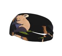 Koala in The Sun - Diadema elástica unisex para yoga y fitness, para correr, baloncesto, absorbe el sudor