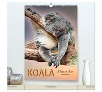 Koala, kleiner Bär (hochwertiger Premium Wandkalender 2026 DIN A2 hoch), Kunstdruck in Hochglanz: Koalas - süße kleine Teddybären.
