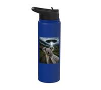Koala Selfie con Alien UFO Meme Divertido Stainless Steel Insulated Water Bottle