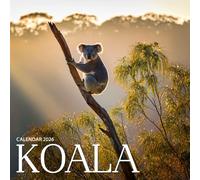 Koalas 2026 Calendar: Wildlife Photography of Australia’s Gentle Icons