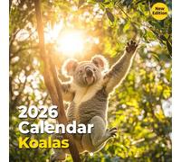 Koalas Calendar 2026: Monthly views of cuddly creatures living wild in Australia