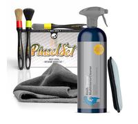 Koch Chemie Multi Interior Cleaner - Juego de limpieza para interior de coche (750 ml, 3 pinceles de detalle, paño de microfibra y almohadilla de microfibra)