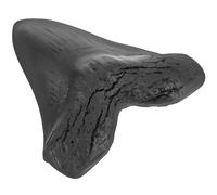 KOCKSHION Diente de Megalodón Réplica de Resina Modelo Real de Diente de Tiburón Gigante para Decoración del Hogar, Muestra Didáctica y Coleccionables, Superficie Lisa, Tamaño Grande