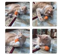 KOCKSHION Juguete para Gatos Interactivo con 4 Balones de Cuerda y Plumas, Ejercicio para Gatos con Bola Rascadora Que Rueda al Rascar, Color Candy Color Aleatorio