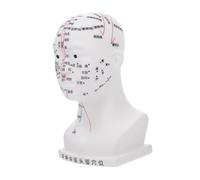 KOCKSHION Modelo De Acupuntura De Cabeza Humana De Herramienta De Enseñanza Para Meridianos y Puntos De Acupuntura Material Suave y Duradero Para Demostraciones Educativas