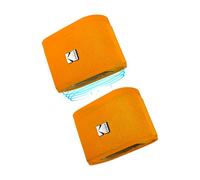 KODAK SOUNDBRIX Altavoces inalámbricos portátiles (Paquete de 2): Conecta hasta 100 Altavoces, Base magnética y Potente Sonido de 5 W, batería de 3 Horas de duración, Color Naranja