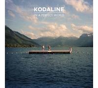 In A Perfect World [Vinilo]