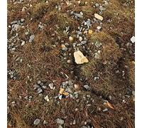 Kodxylytix Cubierta de simulación para plantas, 50 g, miniatura para diseño de tren de jardín de hadas