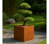 Köhko® Macetero de diseño de acero corten VIVO 28 x 28 x 27 cm | Macetero con aspecto de óxido noble en forma de cuboide