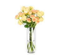 Koelaa Jarrón De Flores Transparente, Jarrones Cilíndricos Acrílicos de Plástico Irrompibles, Florero Decorativo Moderno, Jarrones para Decoración del Hogar y del Salón, Mesa de Cena, Boda-20 * 10cm