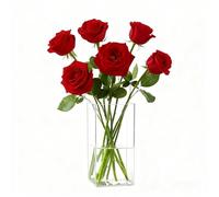 Koelaa Jarrón De Flores Transparente, Jarrones Cuadrado Acrílicos de Plástico Irrompibles, Florero Decorativo Moderno, Jarrones para Decoración del Hogar y del Salón, Mesa de Cena, Boda - 10x25cm