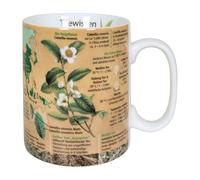 Könitz Knowledge Mug Té Knowledge, Taza de café, Taza, Porcelana, 490 ml