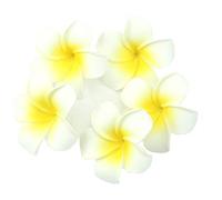 KOFUN Artificial Frangipanita Flor para la Boda, 5 unids Lote Plumeria Hawái Espuma Frangipanis Flor de Navidad Fiesta Decoración de Boda Decoración de Horquilla, Amarillo Claro