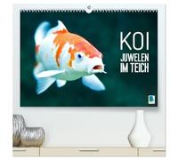 Koi: Juwelen im Teich (hochwertiger Premium Wandkalender 2027 DIN A2 quer), Kunstdruck in Hochglanz: Kois: Schöne Statussymbole