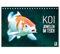 Koi: Juwelen im Teich (Tischkalender 2027 DIN A5 quer), CALVENDO Monatskalender: Kois: Schöne Statussymbole