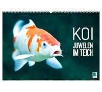 Koi: Juwelen im Teich (Wandkalender 2027 DIN A2 quer), CALVENDO Monatskalender: Kois: Schöne Statussymbole