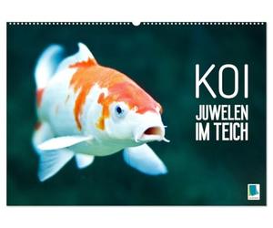 Koi: Juwelen im Teich (Wandkalender 2027 DIN A2 quer), CALVENDO Monatskalender: Kois: Schöne Statussymbole