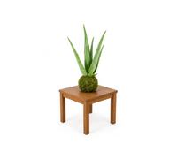 Kokedama de Elaboración Artesana DECOALIVE con Aloe Vera | Suculenta de Porte Erguido para Interiores Muy Luminosos