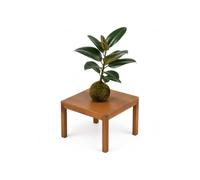 Kokedama Ficus Elastica Robusta para Decoración Artesana | Un Pequeño Paisaje para Mirar de Cerca, Producto Artesanal