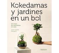 Kokedamas Y Jardines En Un Bol. Un Trozo De Naturalera En Casa