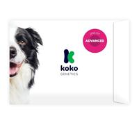 Koko Genetics test ADN perros Advanced (+175 reportes de razas, salud y rasgos). Actualizaciones sin coste
