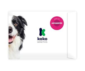Koko Genetics test ADN perros Advanced (+175 reportes de razas, salud y rasgos). Actualizaciones sin coste