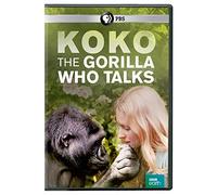 Koko: The Gorilla Who Talks [USA] [DVD]