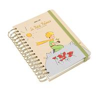 Kokonote: Agenda académica oficial El Principito 2021-2022, tamaño A5, día por página, 12 meses, agosto 2021 a julio 2022