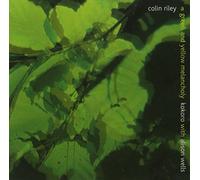 Kokoro and Alison Wells - A Green And Yellow Melancholy