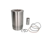 Kit de reparación, camisa de pistón/cilindro KOLBENSCHMIDT 41479960