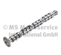 KOLBENSCHMIDT Árbol De Levas AUDI VW SEAT 1,8 058109021M AMB AMK ARX ARY AUM AUQ