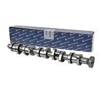 Árbol de levas Acero 50006110 KOLBENSCHMIDT para VW TOUAREG MULTIVAN T5