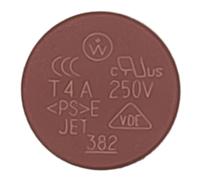 KOLEOLL WD21X25696 - Fusible de placa de control de lavavajillas de 4.0 amperios, compatible con pieza de repuesto para lavavajillas GE