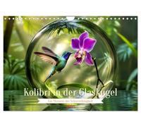 Kolibri in der Glaskugel (Wandkalender 2026 DIN A4 quer), CALVENDO Monatskalender: Ein Hauch von Magie - der Kolibri, eingefangen im perfekten Moment.