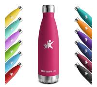 KollyKolla Botella Termica, 500ml, Botella Agua Acero Inoxidable, Termo Sin BPA, Cantimplora Termica Reutilizable, Water Bottle con Pared Doble Aislamiento, para Niños, Adultos, Deporte, Oficina