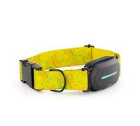 Kolyy Series 2 - Collar GPS para Perros Hecho en España - Localizador GPS Perros con Control vía App - Localización en Tiempo Real y sin Límite de Distancia -Control Actividad, Reposo, Paseos y Rutas