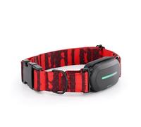 Kolyy Series 2 - Collar GPS para Perros Hecho en España - Localizador GPS Perros con Control vía App - Localización en Tiempo Real y sin Límite de Distancia -Control Actividad, Reposo, Paseos y Rutas