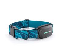 Kolyy Series 2 - Collar GPS para Perros Hecho en España - Localizador GPS Perros con Control vía App - Localización en Tiempo Real y sin Límite de Distancia -Control Actividad, Reposo, Paseos y Rutas