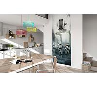 Komar 001-DVD1 - Papel pintado fotográfico (fieltro, 100 x 250 cm), diseño de Star Wars Imperial Forces, multicolor