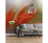 Komar 167-DV3 fotográfico Papel Pintado, decoración de Pared, Gotas de Agua, Flor, naturaleza-167-DV3, Fantasía, 300 x 250 cm (Breite x Höhe)