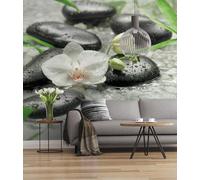 Komar 319-DV3 Fotomural, Colorido, 300 x 250 cm (Breite x Höhe)