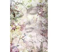 Komar 8 - 213 Papel Papel pintado fotográfico, azul/rosa/blanco