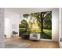 Komar 8-743 Golden Moment - Papel pintado fotográfico (368 x 254 cm (ancho x alto), diseño de amanecer