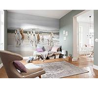 Komar 8 - 986 (368 x 254 cm, "Caballos Blanco Papel Pintado de color blanco/blanco (8 unidades)