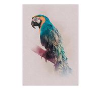 Komar Animals Paradise Parrot - Tamaño: 50 x 70 cm Póster de pared, impresión artística (sin marco) PURE Boutique