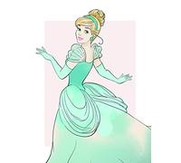 Komar Cinderella Beauty, carbón, 30 x 40 cm