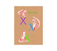 Komar Cuadro de Pared ABC Animal X Póster para habitación Infantil Letras Cuadro Salón Dormitorio Decoración Arte Impresión sin Marco P036X-40x50 Tamaño 40 x 50 cm (Ancho x Alto)