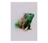 Komar Cuadro de Pared | Animals Paradise Iguana | Póster, Imagen, Sala de Estar, Dormitorio, decoración, impresión artística | sin Marco | P083C-50x70 | Tamaño: 50 x 70 cm (Ancho x Alto)